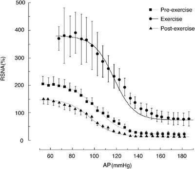 Regional Differences in Sympathetic Nerve Activity Are Generated by Multiple Arterial Baroreflex Loops Arranged in Parallel